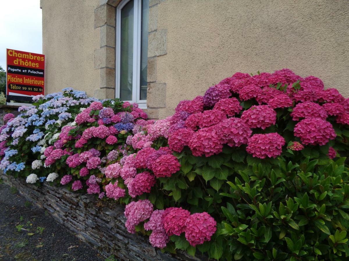 Bed and Breakfast Popote Et Polochon Saint-Martin-sur-Oust Exterior foto